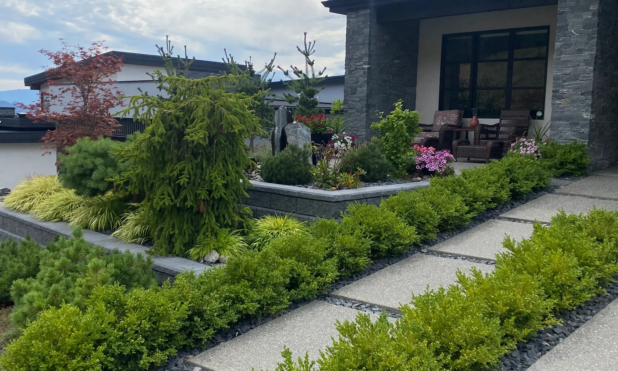 walkway and hedges
