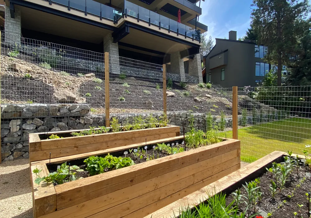 raised garden beds