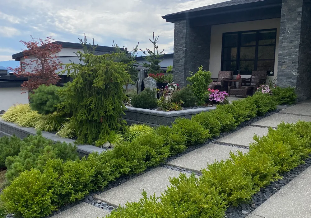 walkway and hedges