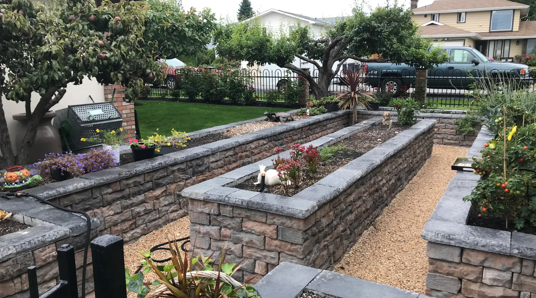 raised garden beds