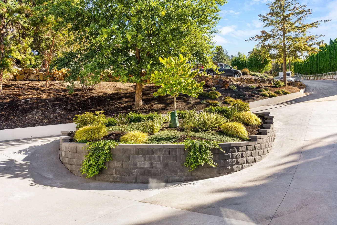 shrubs atop a decorative center median planter in a driveway